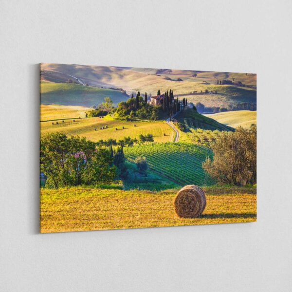 Canvas - Countryside