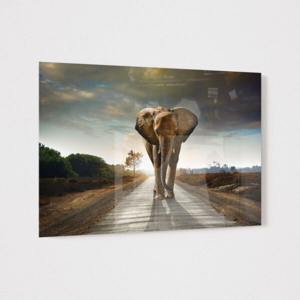 Sticla - Oliphant