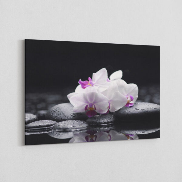 Canvas - Orchidalia